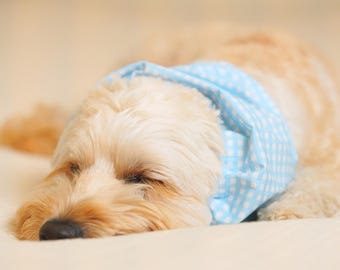 Gingham Dog Snood, Adjustable Dog Ear Cover for Long Ears, snood for Cocker Spaniel and Cavalier, Blue & Pink