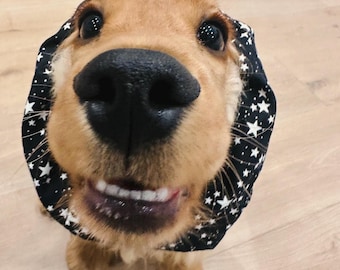 Dog Snood for Cocker Spaniel, Ear Protector for cavalier, basset, "Starry Night" Glow-in-the-Dark