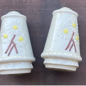 Vintage Cottagecore Daisy Floral Ceramic Salt and Pepper Shakers kitchy