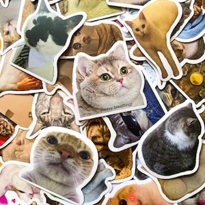 50 Random Cat Meme Stickers, Funny Cat Face Stickers, Dress-up Cat Stickers, Waterproof Animal Stickers for Laptop, Journal, Water Bottle