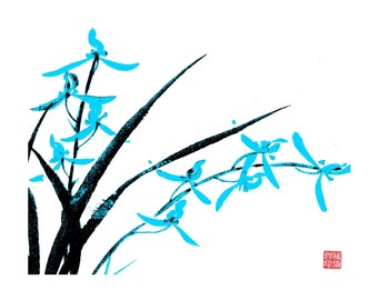 Orchid-Black and Light Blue