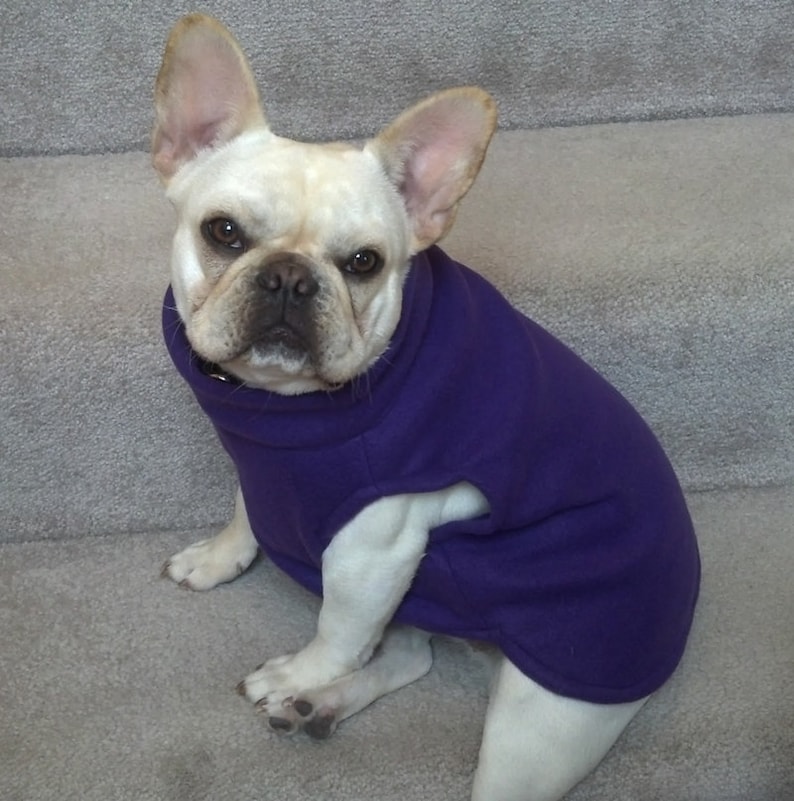 French Bulldog Pretty Purple Fleece Pullover Jacket with
