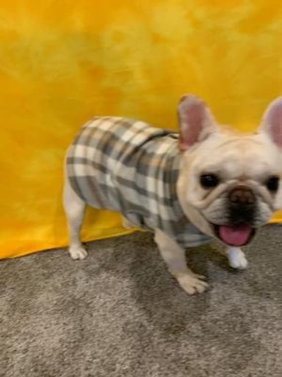 Dog Pullover Sweater, French Bulldog Sweaters