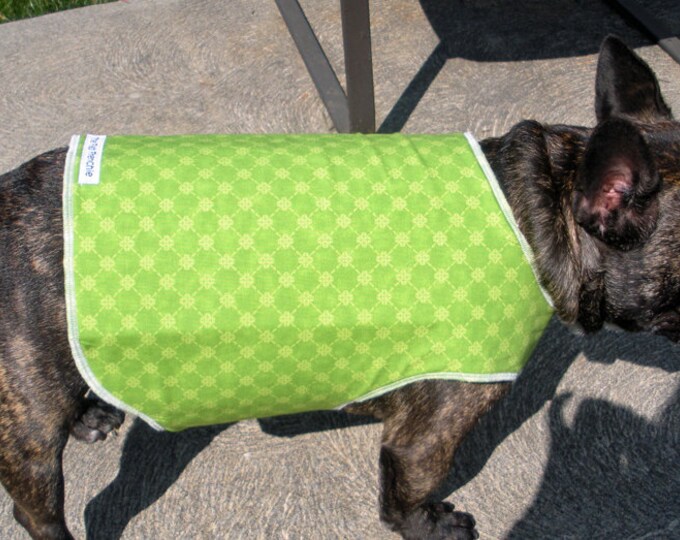 French Bulldog Cool Coat in Lime Green Etsy