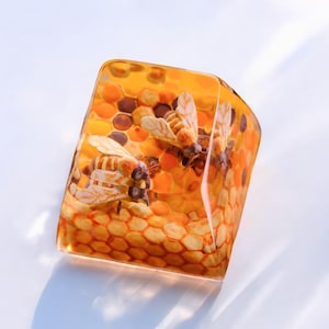 Puede incluir: Una pieza de arte rectangular de resina color ámbar que presenta un diseño de panal con dos figuras detalladas de abejas. Las abejas están posicionadas en medio de las celdas del panal, creando un efecto tridimensional. La resina es translúcida.