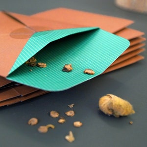 Mini bags, seed bags, bag set for plant seeds, beautiful things for the garden, small gift bags, gift for the garden, to fill yourself