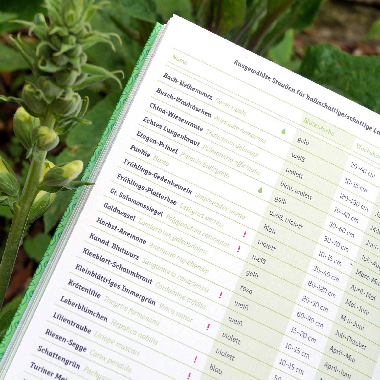 GARTENTAGEBUCH, ewiger Kalender für Gärtner, GartenNotizbuch