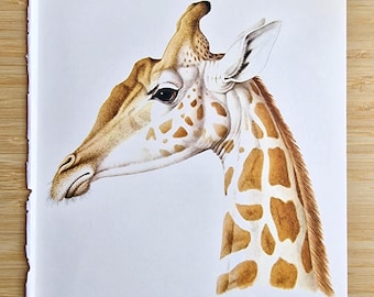 Estampado de jirafa de la década de 1970 (Giraffa camelopardalis): ilustración vintage de animales, arte mural de historia natural de Larousse, arte de safari africano de Nicolas Huet
