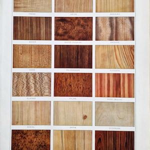 Peut inclure: Une page d'un livre vintage présentant une grille d'échantillons de bois. Les échantillons présentent divers grains et couleurs de bois, notamment des tons brun clair, brun foncé et rougeâtres. Le mot "BOIS" est en haut.