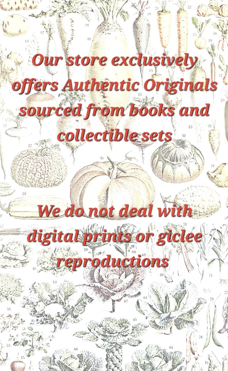 ExLibrisPoster shop message stating all artworks are authentic vintage originals sourced from books and collections.