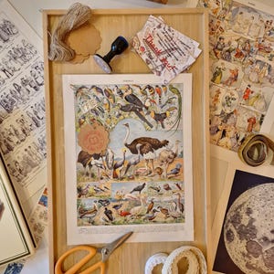 ExLibrisPoster branding photo with vintage papers, framing tools and decorative objects showing the shop’s style and presentation.