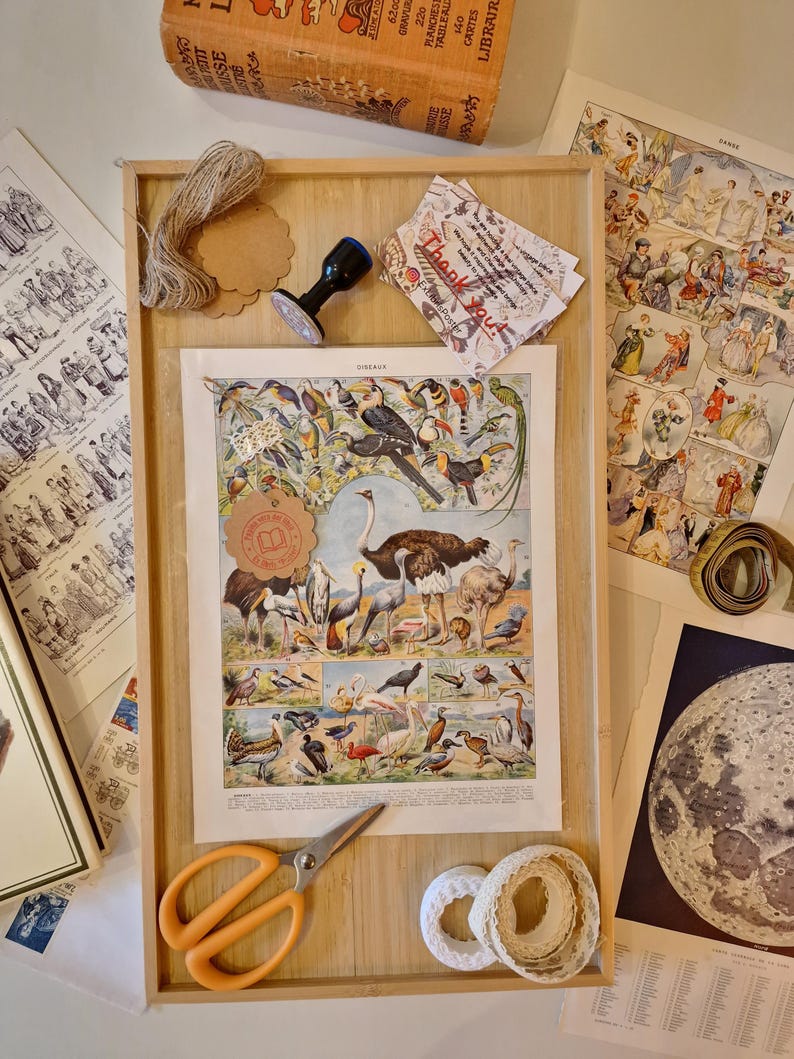 ExLibrisPoster branding photo with vintage papers, framing tools and decorative objects showing the shop’s style and presentation.