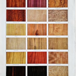 May include: A page from a vintage book showcasing various wood samples. The samples are arranged in rectangular blocks, each displaying a unique grain pattern and color, ranging from light yellows to deep reds and blacks. The word "BOIS" is at the top.