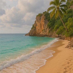 Coastal Cliff Beach with Gentle Waves and Palm Tree