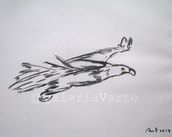 original charcoal drawing  - hawk - europeanstreetteam