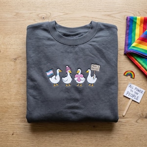 May include: A charcoal grey crewneck sweatshirt featuring an embroidered design of four white geese. One goose holds a transgender pride flag, one wears a pink and white knit hat, one holds a pink heart, and one holds a sign reading PRIDE IS PROTEST.