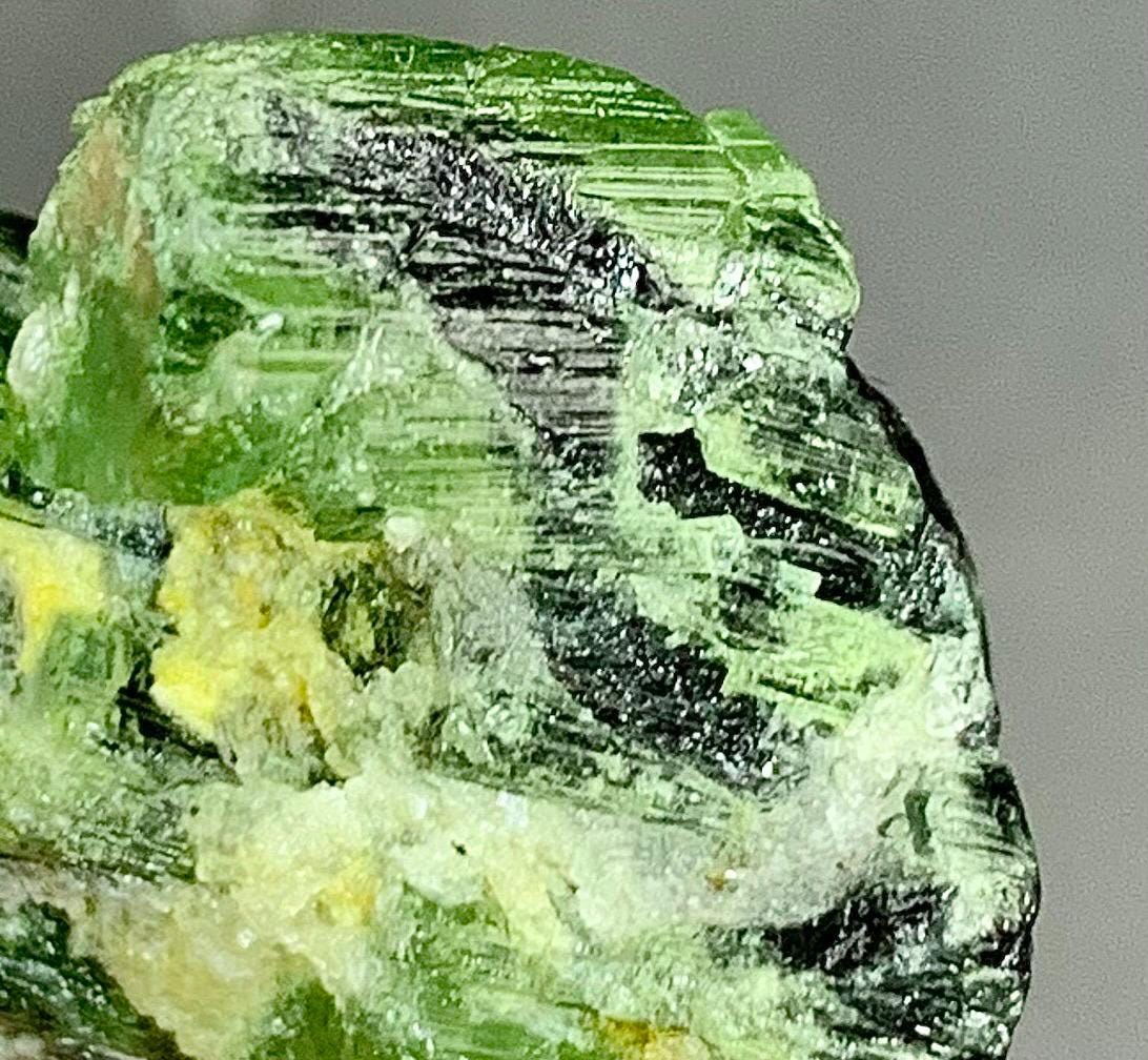 44.90カラットのグリーントルマリンクリスタル：希少鉱物標本