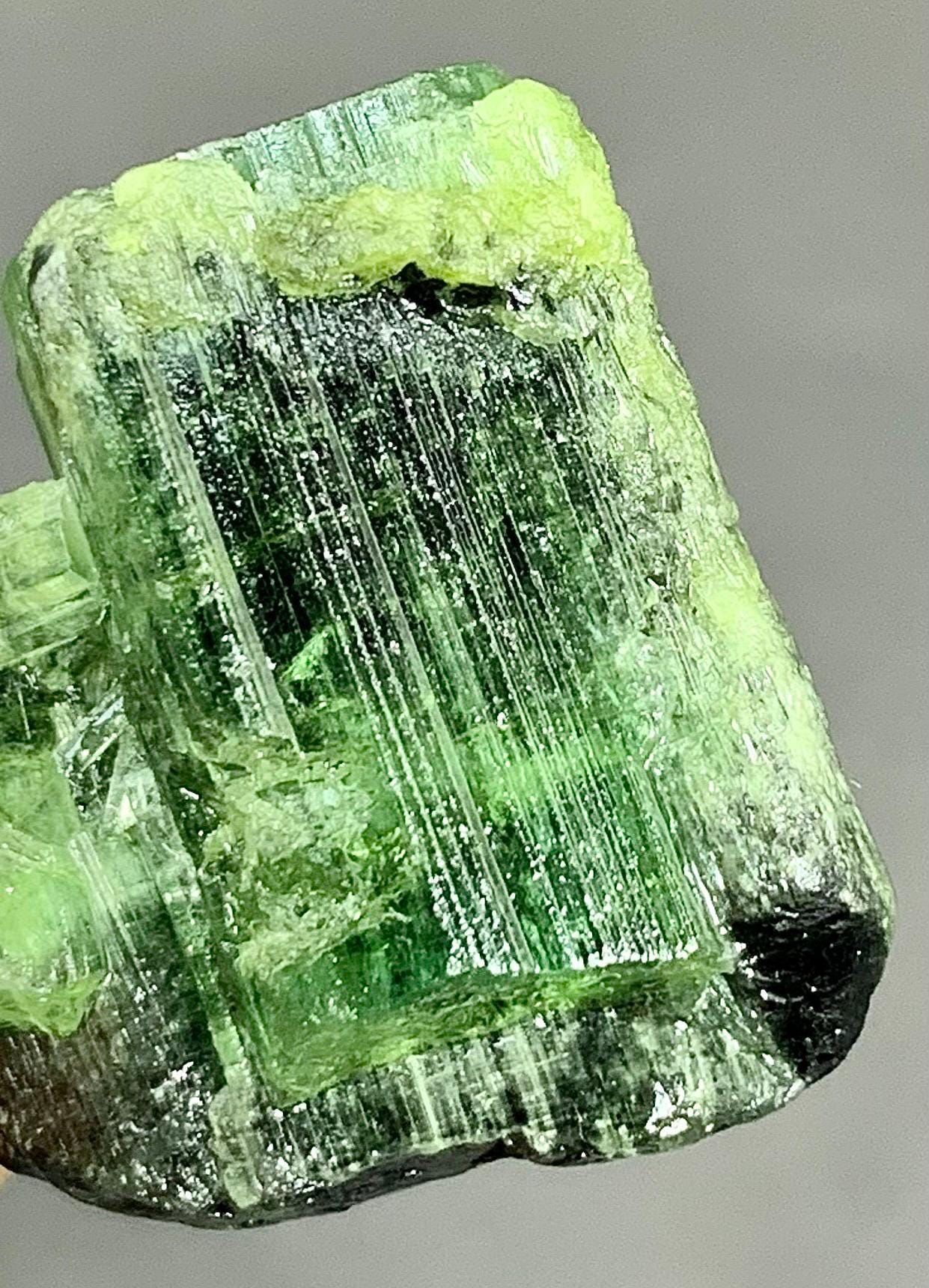 グリーン トルマリン　宝石質鉱物標本 44.90カラットのグリーントルマリンクリスタル：希少鉱物標本