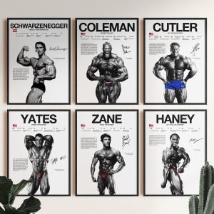 Schwarzenegger Coleman Cutler Yates Haney Zane Poster Bundle, Bodybuilding Wall Print,Mr Olympia Poster, Gym Fitness Motivation Decor Gift