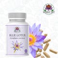 Blue Lotus Capsules - Herbal Relaxation & Sleep Aid - 60ct product logo