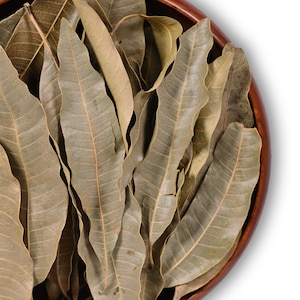 Premium Organic Mango Leaves | Dried Mangifera indica | Herbal Tea | Whole, Ground, Tea Bags | Natural Leaf Blend | Wellness Gift