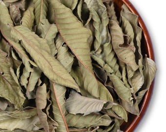 Organic Guava Leaf Tea | Psidium guajava|  Sri Lankan Herbal Wellness Blend
