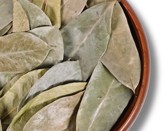 Foglie di Graviola biologiche premium / Tisana alla Graviola / Annona Muricata / Supporto naturale / Senza caffeina / Regalo benessere