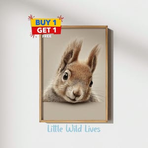 Adorable Baby Squirrel Nursery Wall Art, Woodland Animal Print, Cute Forest Creature, Neutral Baby Room Decor | Digital Prints