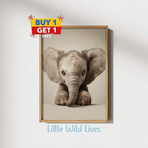 Adorable Baby Elephant Nursery Art, Safari Animal Print, Neutral Baby Room Decor, Cute Elephant Wall Art | Digital Prints