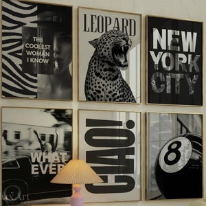 Set of 6 Retro Gallery Girly Prints – Trendy Wall Art, Leopard Decor, Trendy Aesthetic Y2K Dorm & Apartment Print, Black And White Funky Art