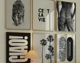 Black and White Wall Art Set of 6 – Fashion Wall Art, Leopard, Skateboard Poster, Trendy Aesthetic Y2K Apartment Print,  Funky Art