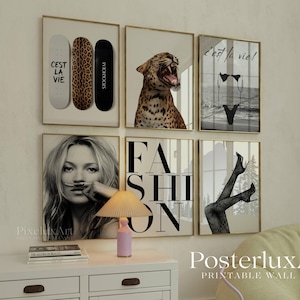 May include: A collection of framed wall art featuring a leopard, a woman with a drawn-on mustache, and high-fashion imagery. Includes skateboards with text "C'est la vie" and "Stockholm". The art pieces are in gold frames, creating a stylish, modern aesthetic.