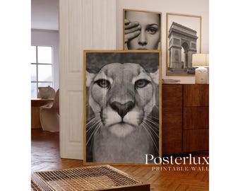 Black & White Panther Wall Art, image 2