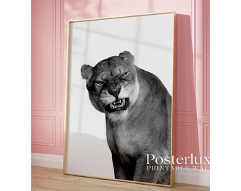 Black White Lion Wall Art Print, image 3