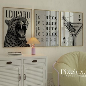 May include: Three framed wall art prints. The first features a black and white leopard with the word "LEOPARD". The second print says "je t'aime" repeatedly. The third print is a martini glass with playing card symbols.