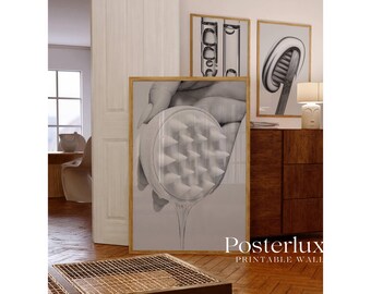Black and White Funny Bathroom Poster, image 3