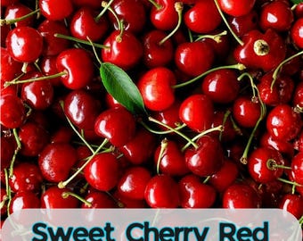 30 Sweet Cherry Tree Seeds: Red Fruit, Home Orchard & Garden
