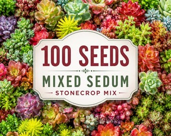 100 Mixed Sedum Seeds, Stonecrop Succulent Ground Cover Plants, Drought Tolerant Perennial