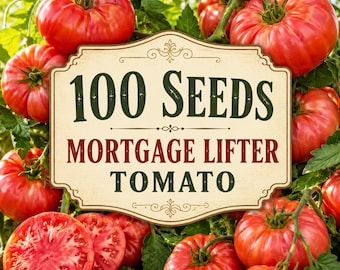 100 Mortgage Lifter Tomato Seeds | Heirloom Large Slicing Indeterminate Vegetable Seeds