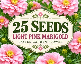 25 Light Pink Marigold Seeds - Blush-Toned Blooms