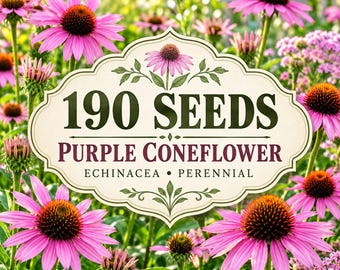 190 Purple Coneflower Seeds, Echinacea Perennial Wildflower, Pollinator Friendly Flowers, Cottage Garden Planting Seeds