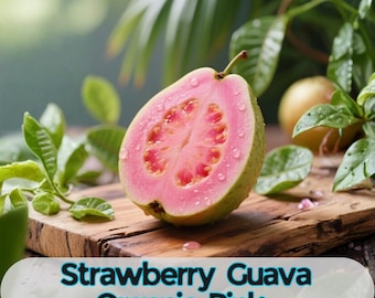 50 Tropical Strawberry Guava Seeds: Pink Guava Fruit Plant