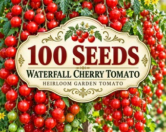 100 Waterfall Cherry Tomato Seeds – Ultra Sweet Heirloom, Non-GMO Vegetable Seeds for Garden Planting