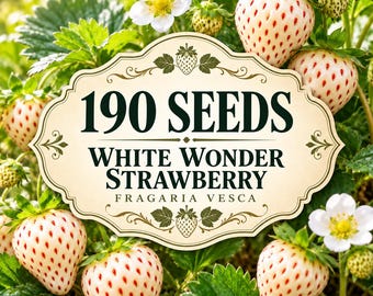 White Wonder Strawberry Seeds – Rare Alpine Fragaria vesca (190 Seeds)