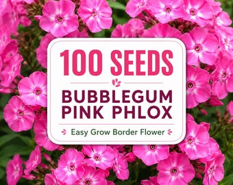 100 Bubblegum Pink Phlox Seeds | Cottage Garden Perennial Border Flower