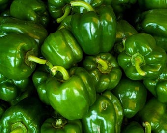 Pimiento gigante esmeralda, 100 semillas / Variedad tradicional de pimiento dulce verde para huerto.