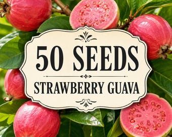 50 Strawberry Guava Seeds | Psidium cattleianum Tropical Fruit Tree Garden Planting