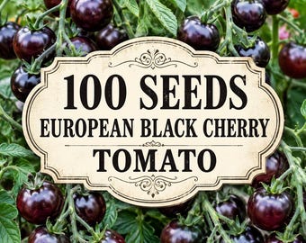 100 European Black Cherry Tomato Seeds | Heirloom Dark Vegetable Garden Planting