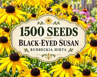 1500 Black-Eyed Susan Seeds | Rudbeckia Hirta | Native Wildflower | Pollinator Friendly | Perennial Garden Planting USA