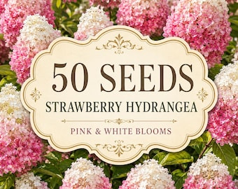 50 Strawberry Hydrangea Tree Seeds | Pink & White Cone Bloom | Heirloom Ornamental Garden Flower Seeds